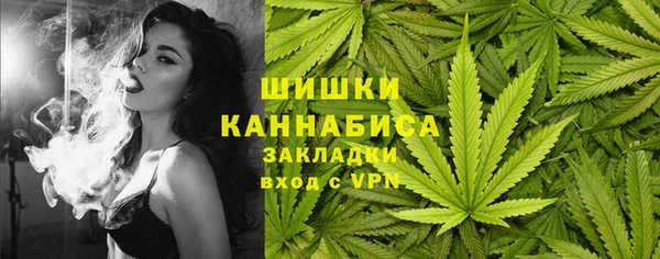apvp Арсеньев