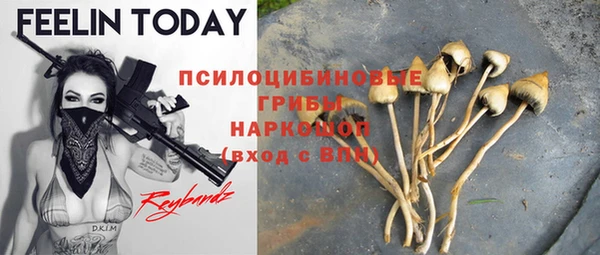шишки Армянск