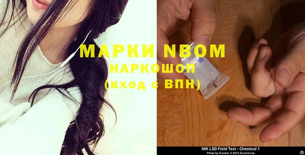 шишки Армянск