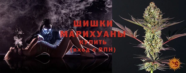 шишки Армянск